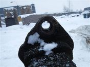 Картер заднего моста